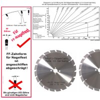 HM - Sägeblatt 300 x 30 mmØ 20FF