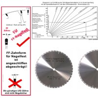HM - Sägeblatt 600 x 35 mm 42FF