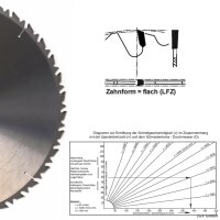 HM-Sägeblatt 550 x 30 mm 36LFZ Flachzahnung...