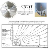 HM-Sägeblatt 250x30mm Z= 42 SWZ